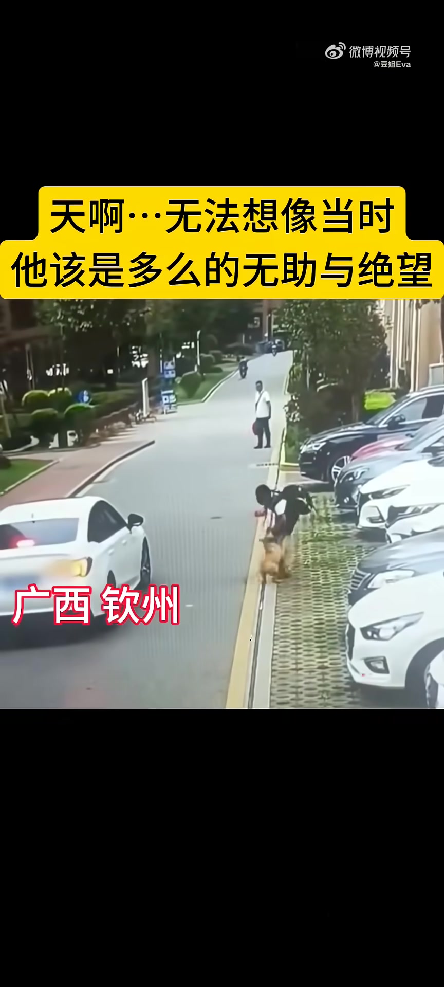 男子被狗追住咬却没人上前阻止！