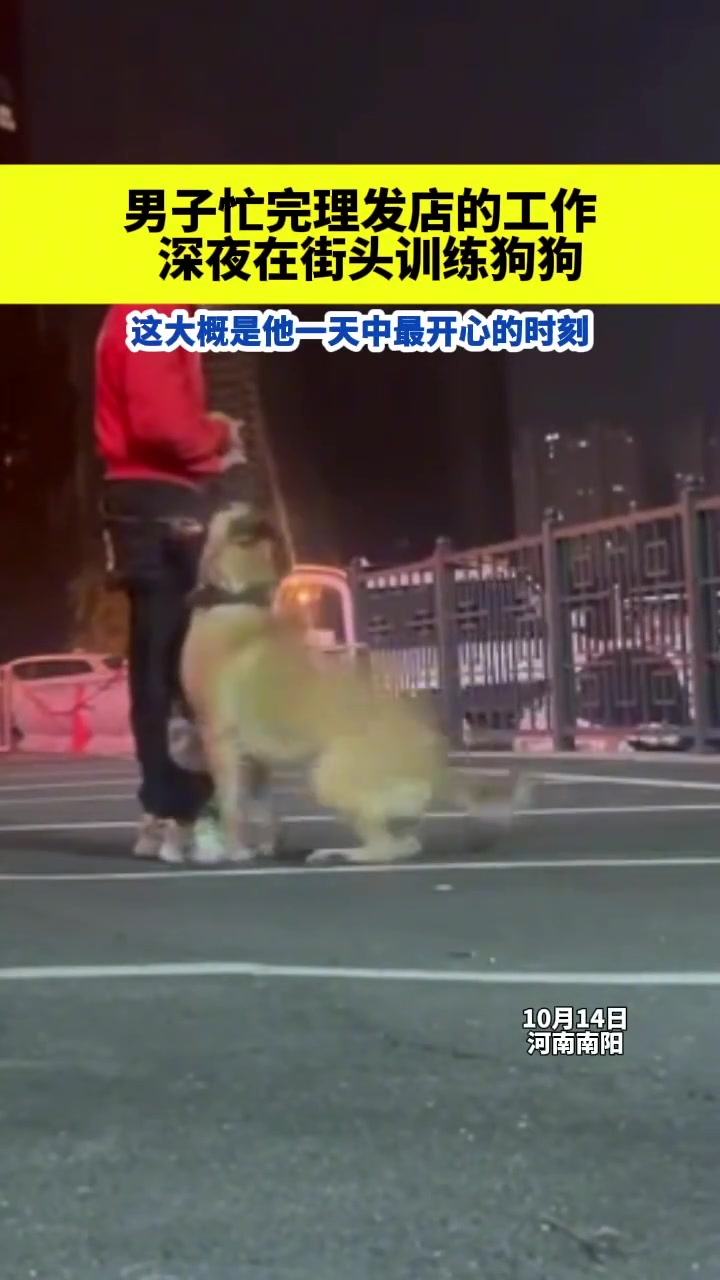 男子忙完理发店的工作，深夜在街头训练狗