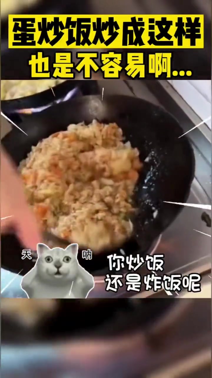 蛋炒饭炒成这样也是不容易啊