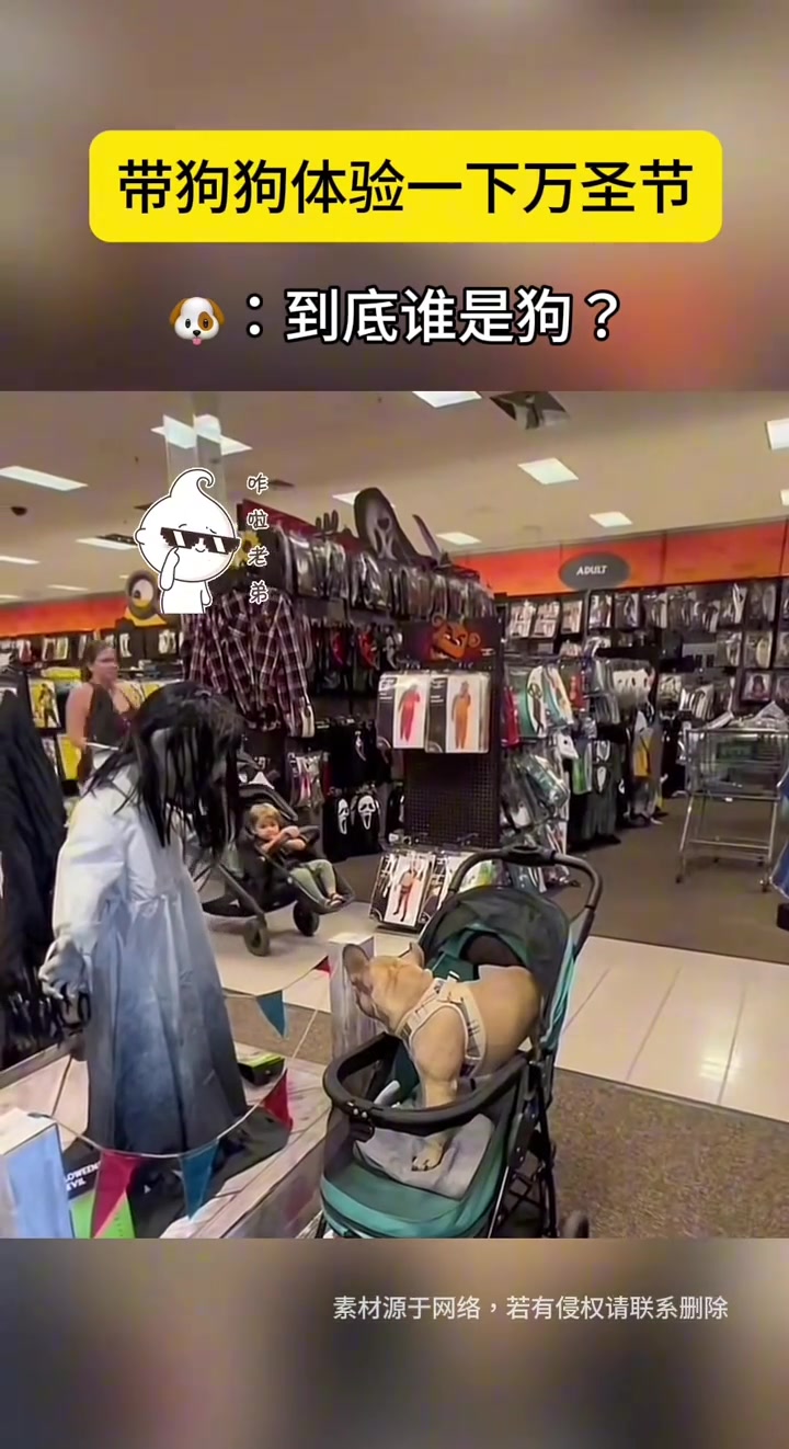 老外带狗子体验万圣节