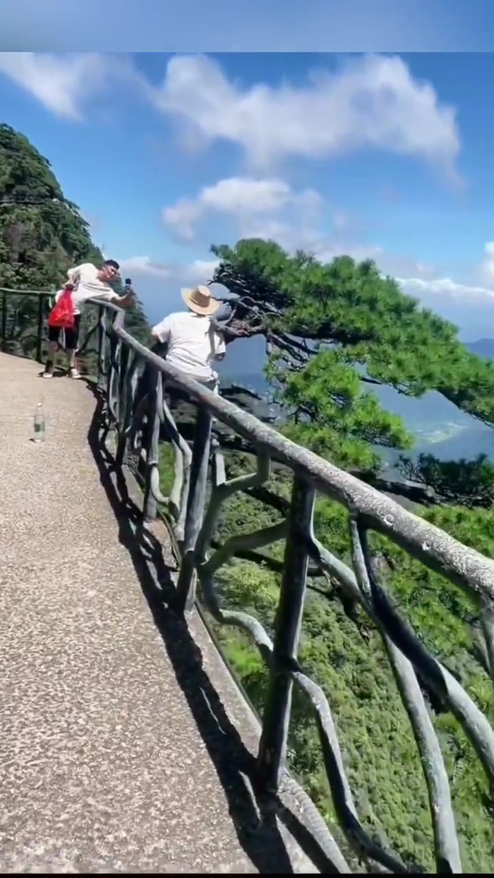 游客为了拍照，坐在悬崖边上的树枝上！