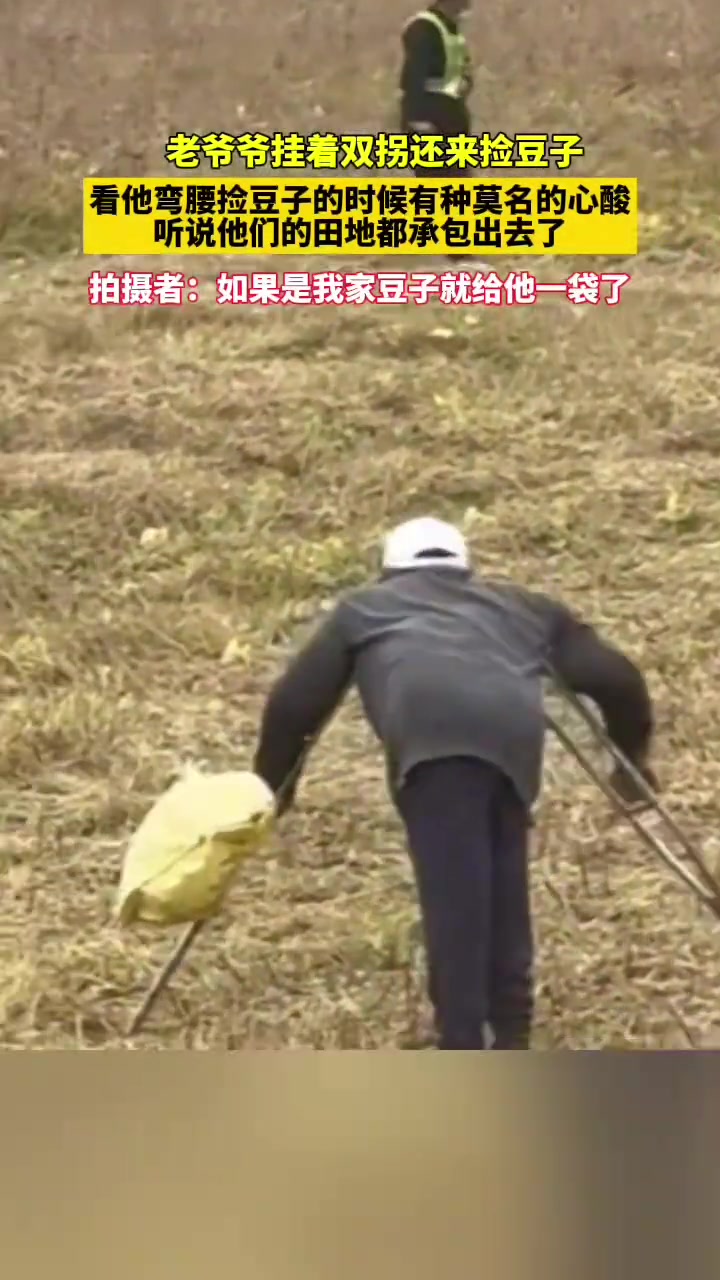 老爷爷拄着双拐，还来捡豆子