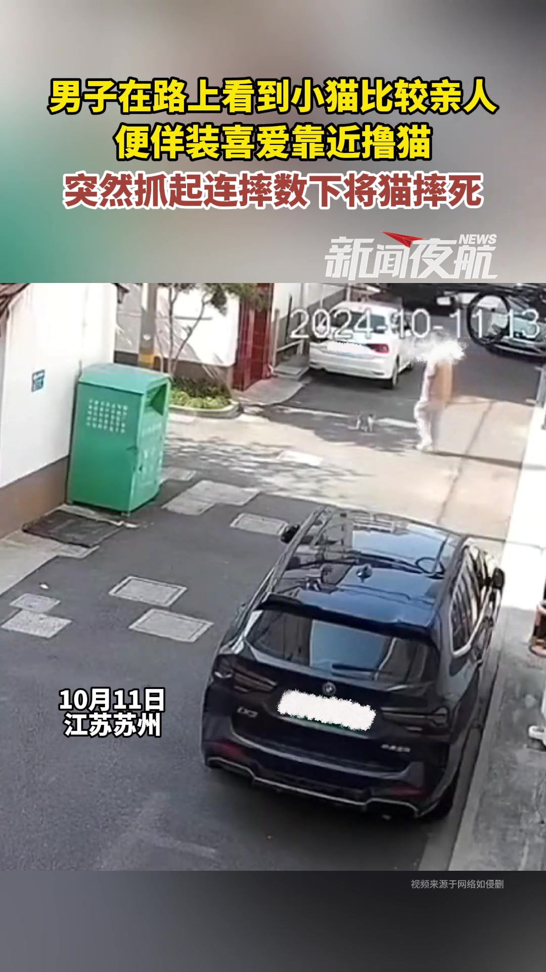 男子路上看到小猫比较亲人时，突然抓起连摔数下将猫摔死！