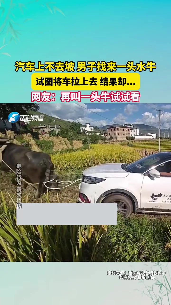 汽车上不去坡男子找来一头水牛，试图将车拉上去结果却..