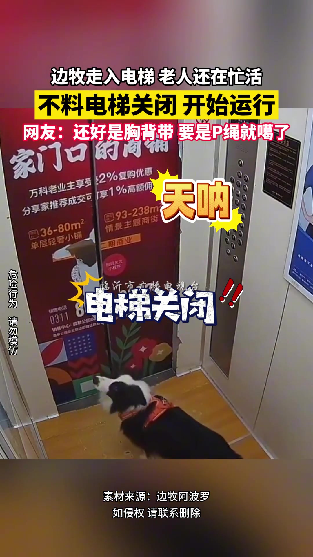 还好是胸背带要是P绳就噶了