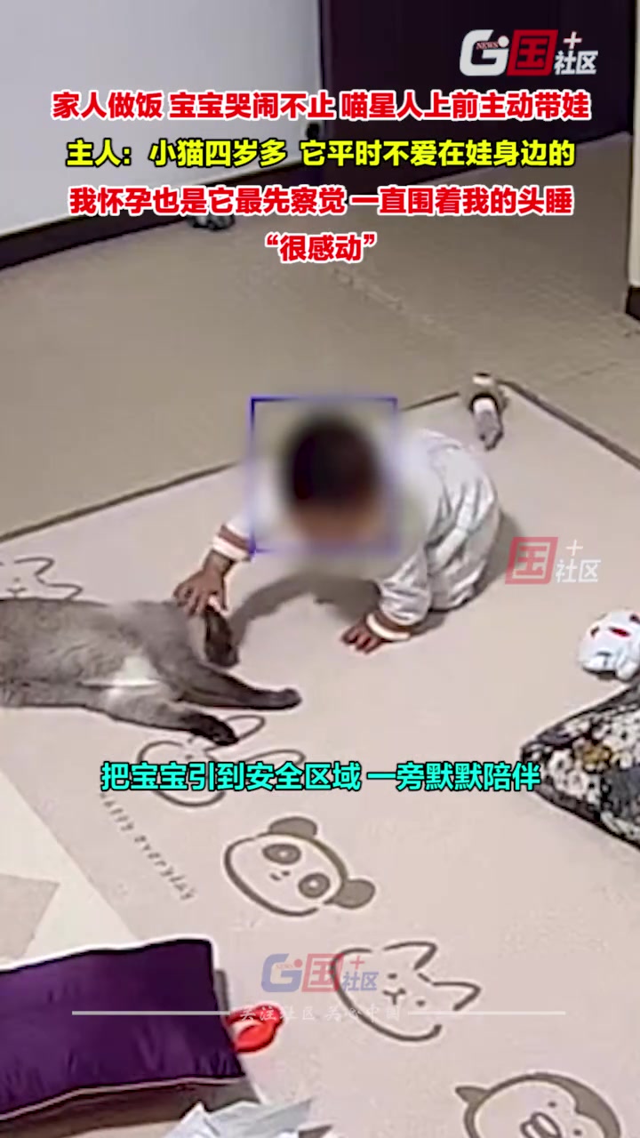 太秀了！真是没有一颗猫粮是白吃的