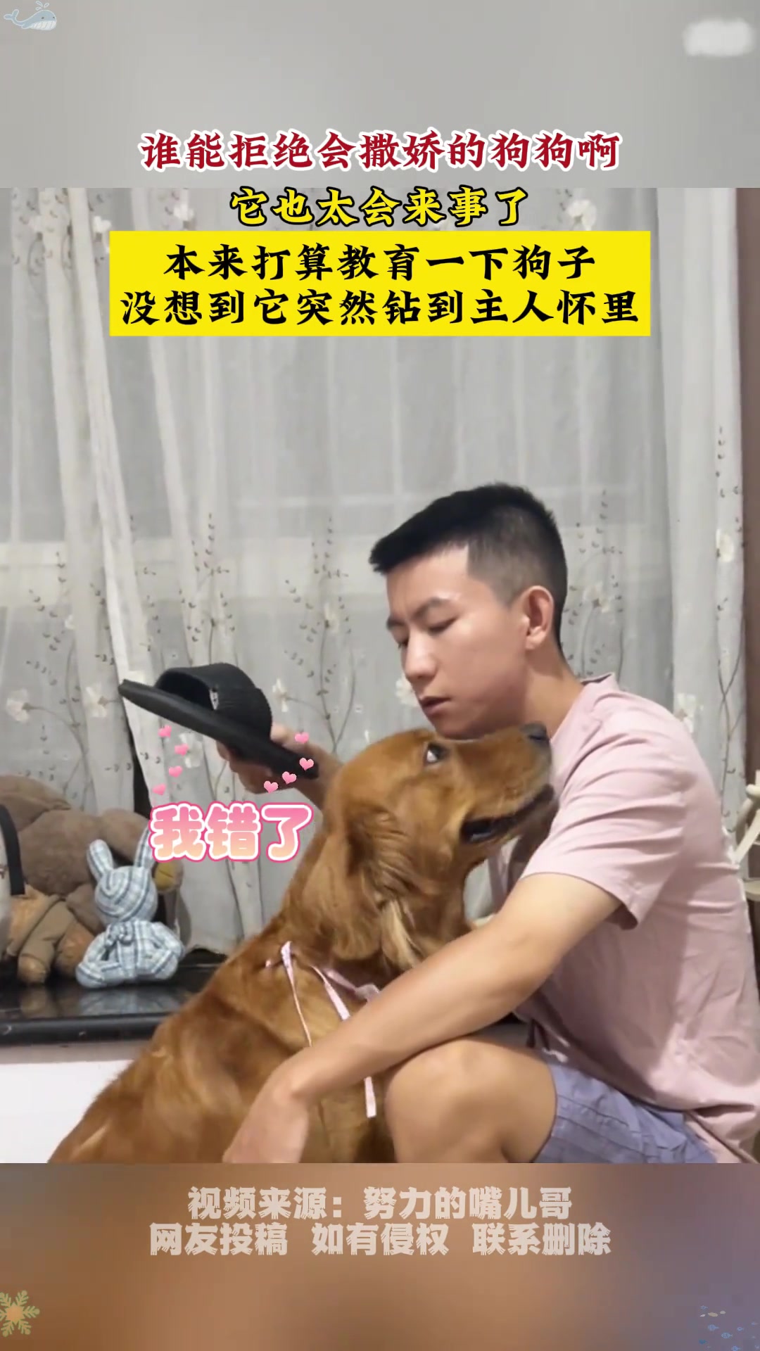 会撒娇的都好命啊，人也是，狗也是