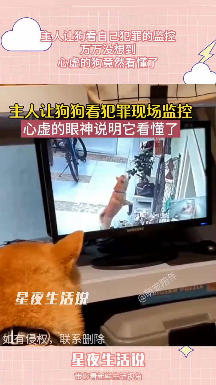 这一步在我们人界一般称之为指认犯罪现场