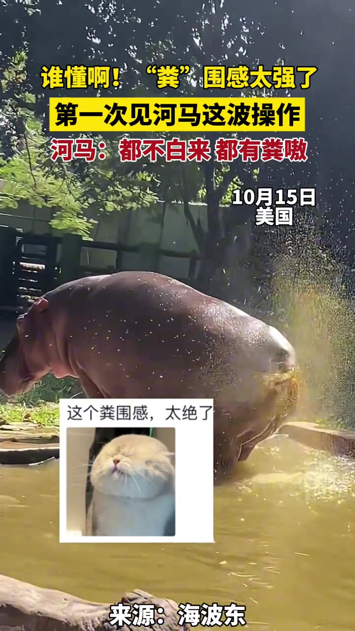 氛围感十足第一次见这波操作河马“不白来,都有fen”