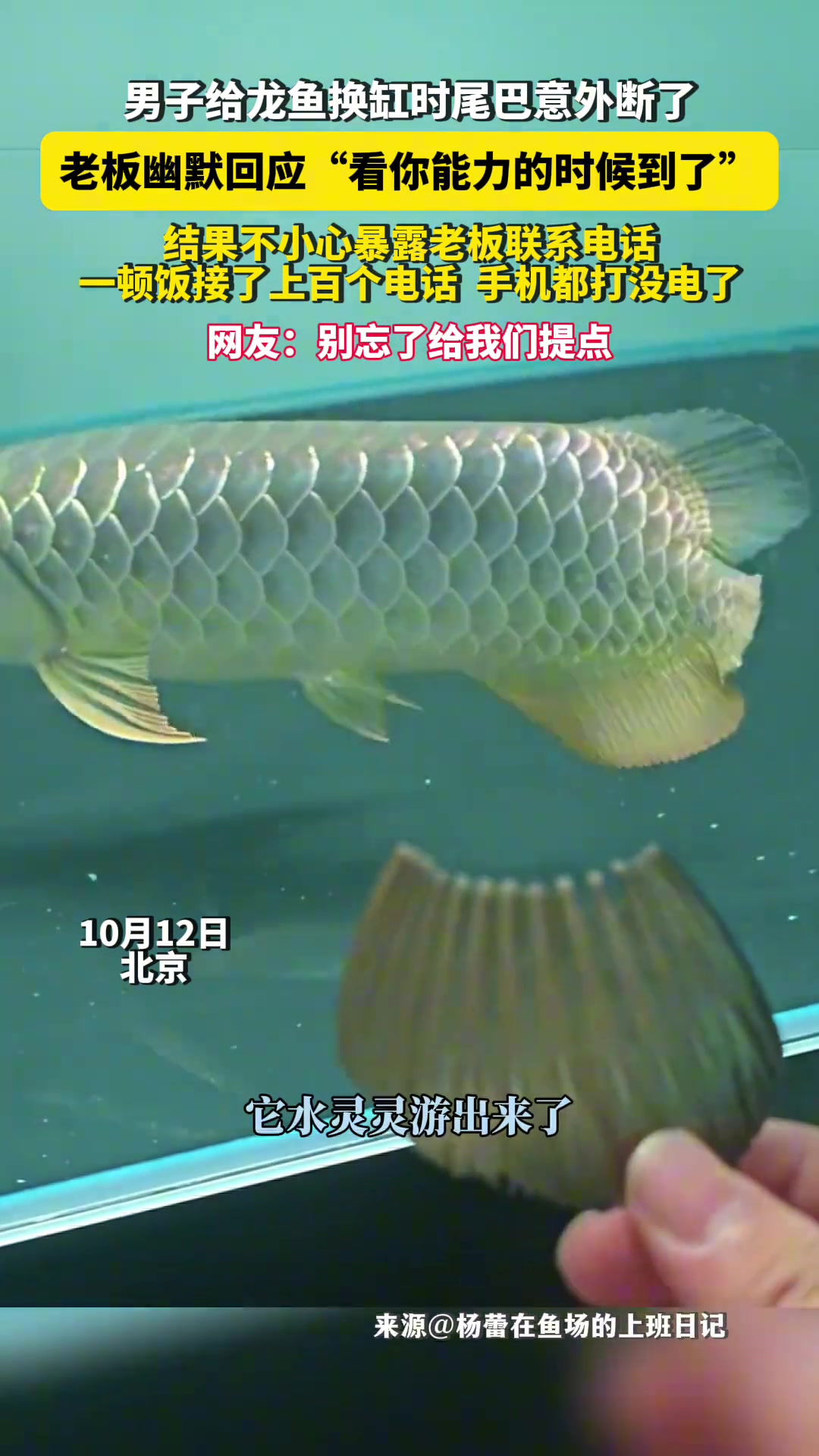 捅了这么大的篓子，就这么水灵灵的解决了牛
