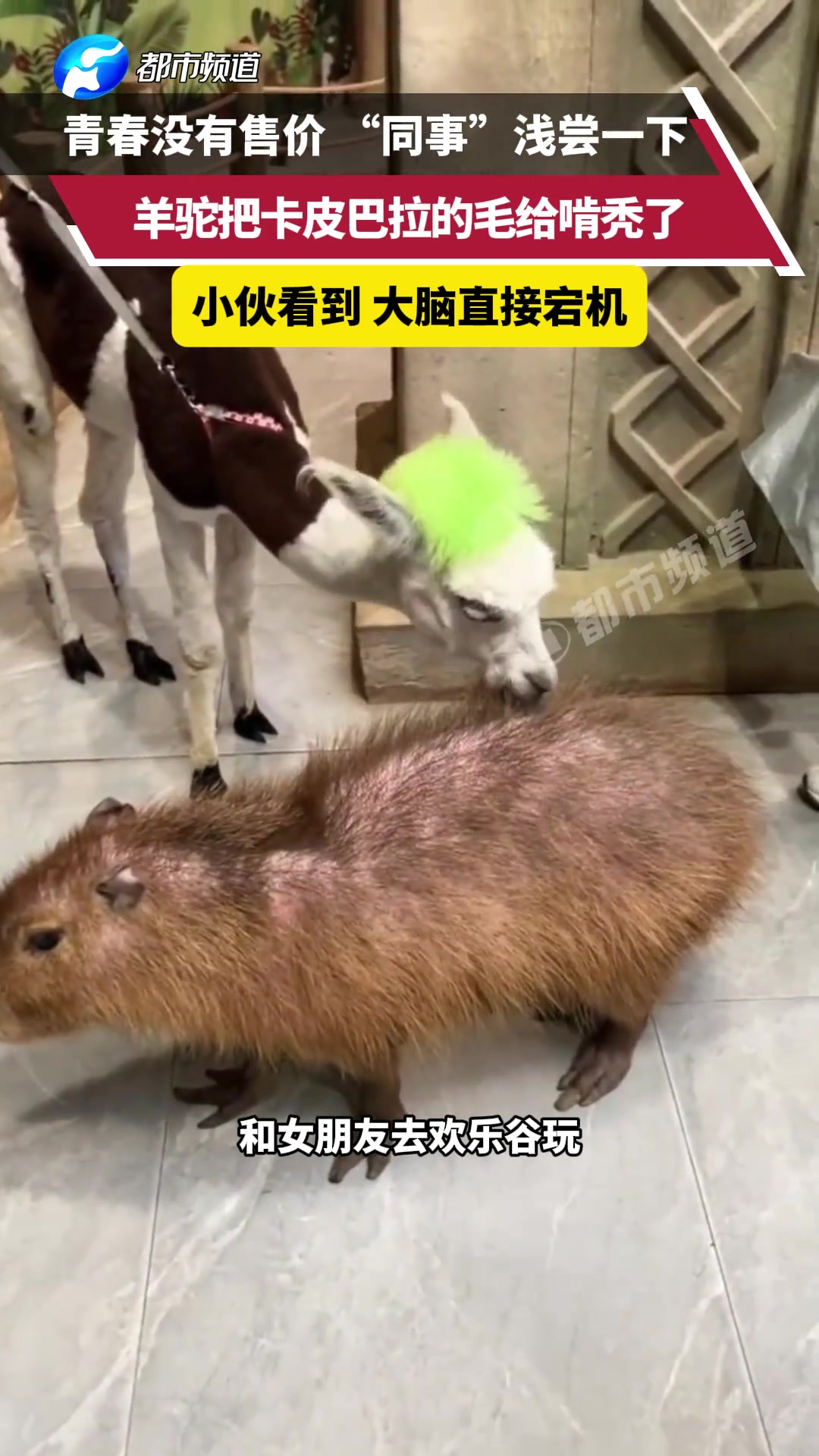 青春没有售价，同事浅尝一下