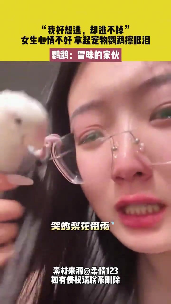 女生心情不好拿起宠物鹦鹉擦眼泪鹦鹉：冒昧的家伙