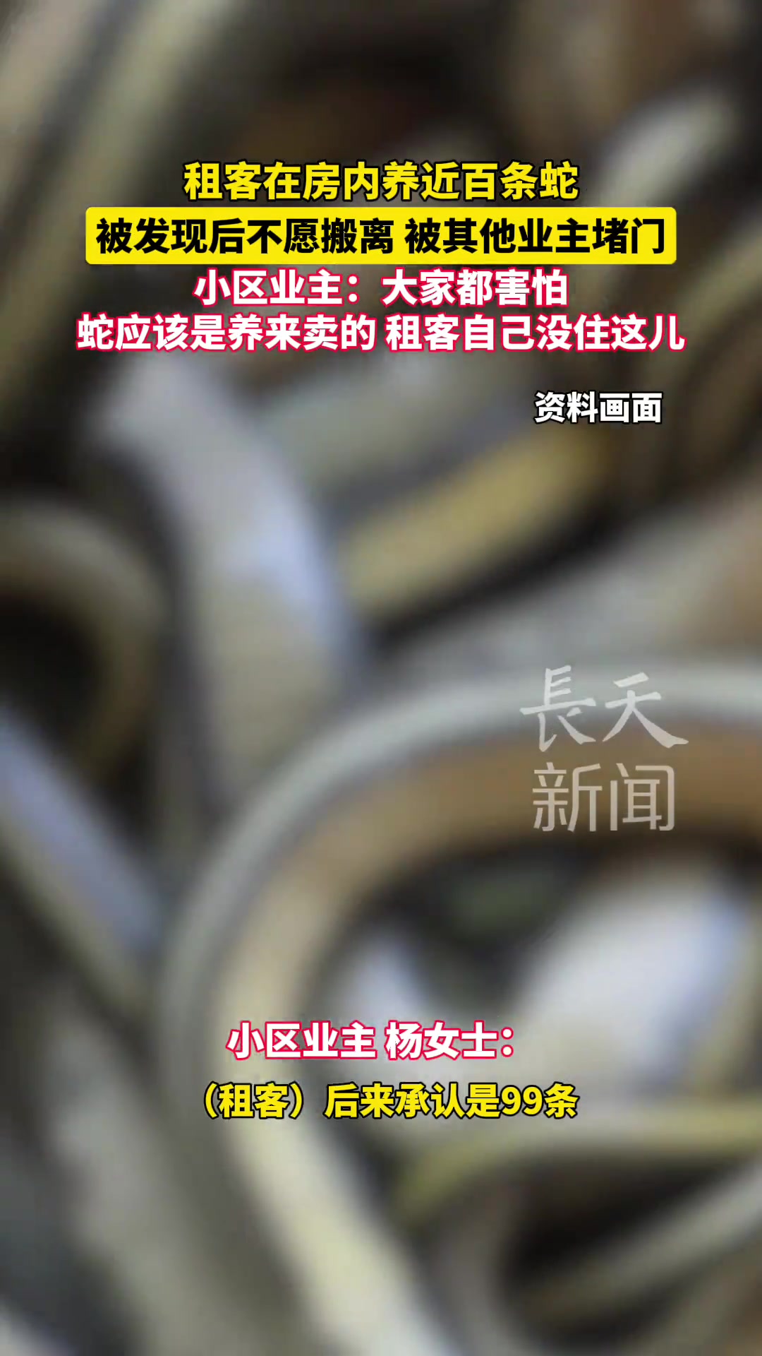 租客房内养近百条蛇，被发现后不愿搬离被其他业主堵门