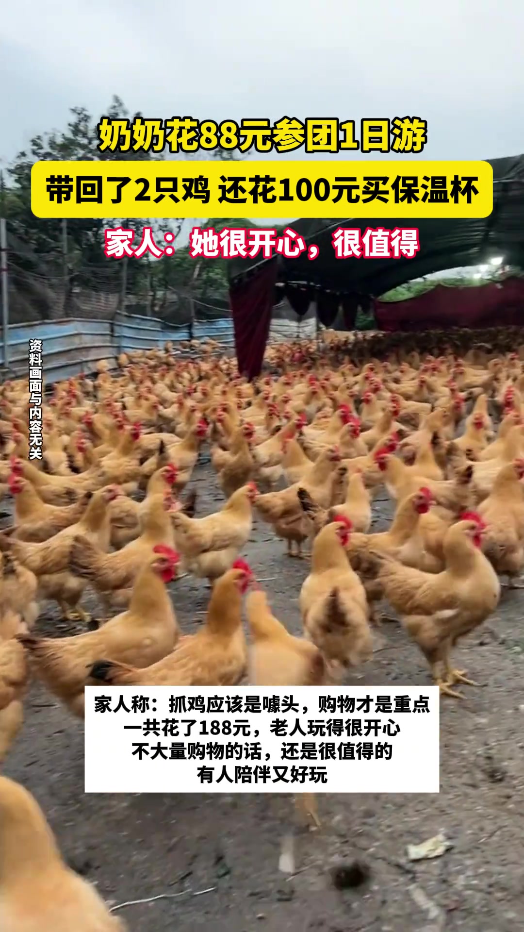 奶奶花88元参团1日游，带回了2只鸡，还花100元买保温杯