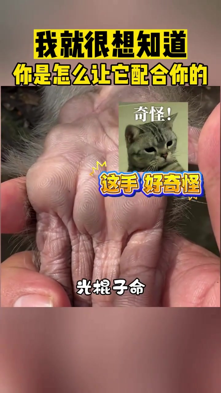 我就很想知道你是怎么让它配合你的