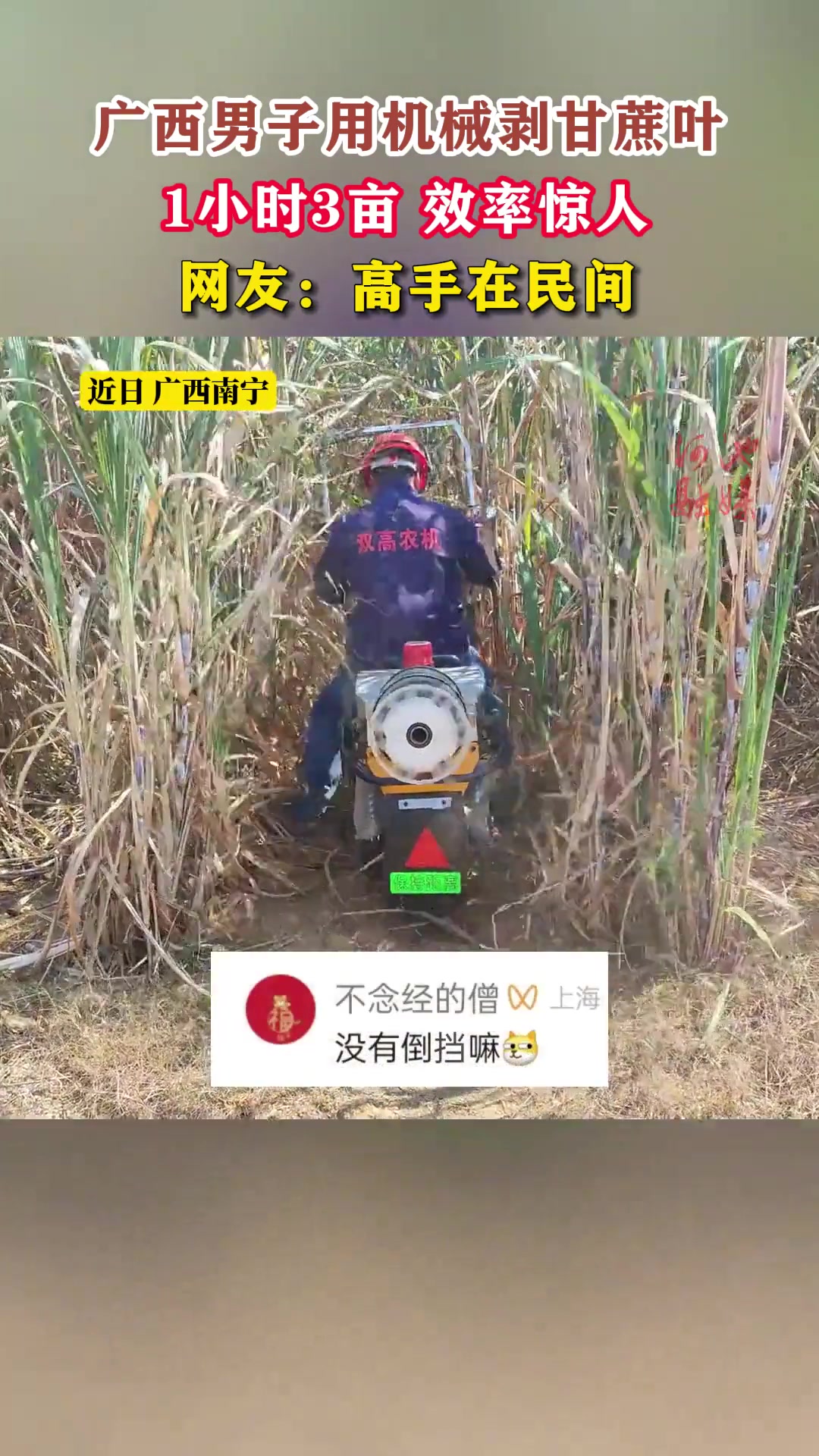 广西男子用机械剥甘蔗叶，1小时3亩，效率惊人