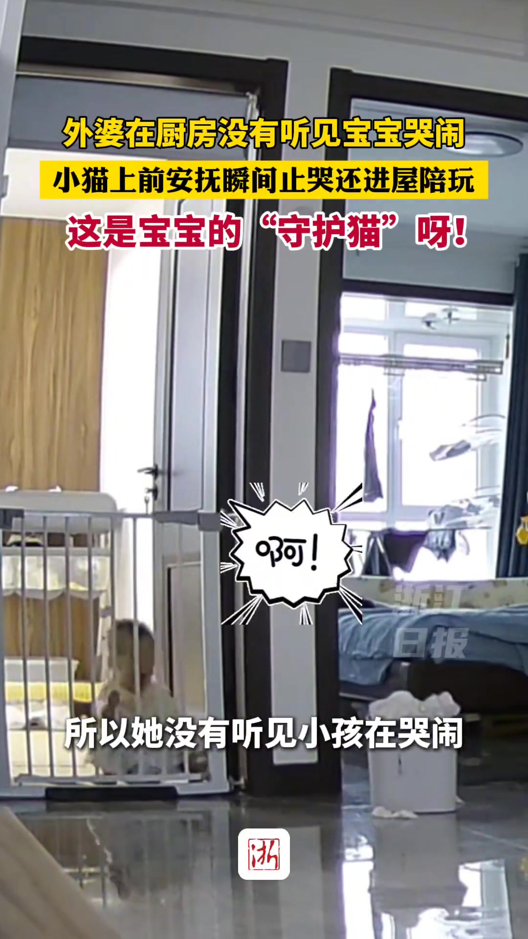 4岁的小猫治愈了10个月的宝宝！
