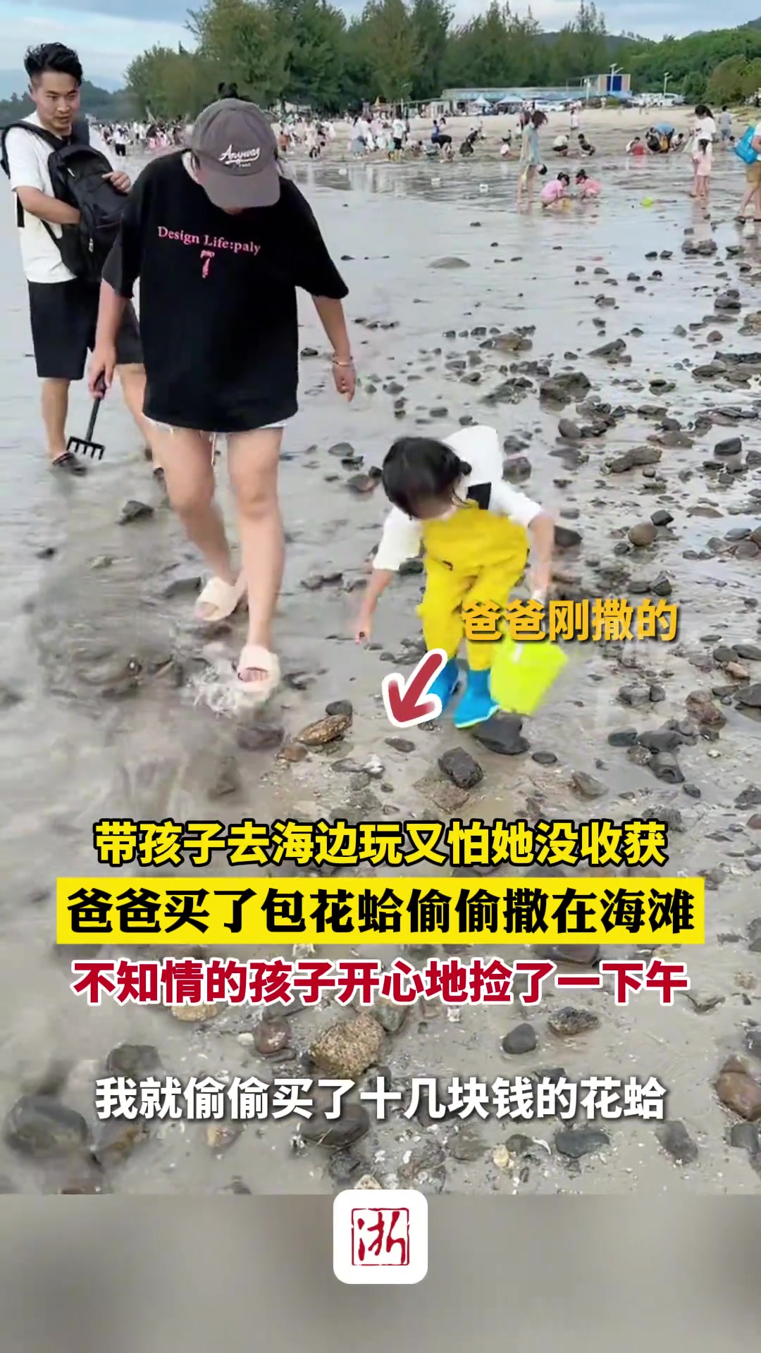 带孩子去海边玩又怕她没收获，爸爸买了包花蛤偷偷撒在海滩