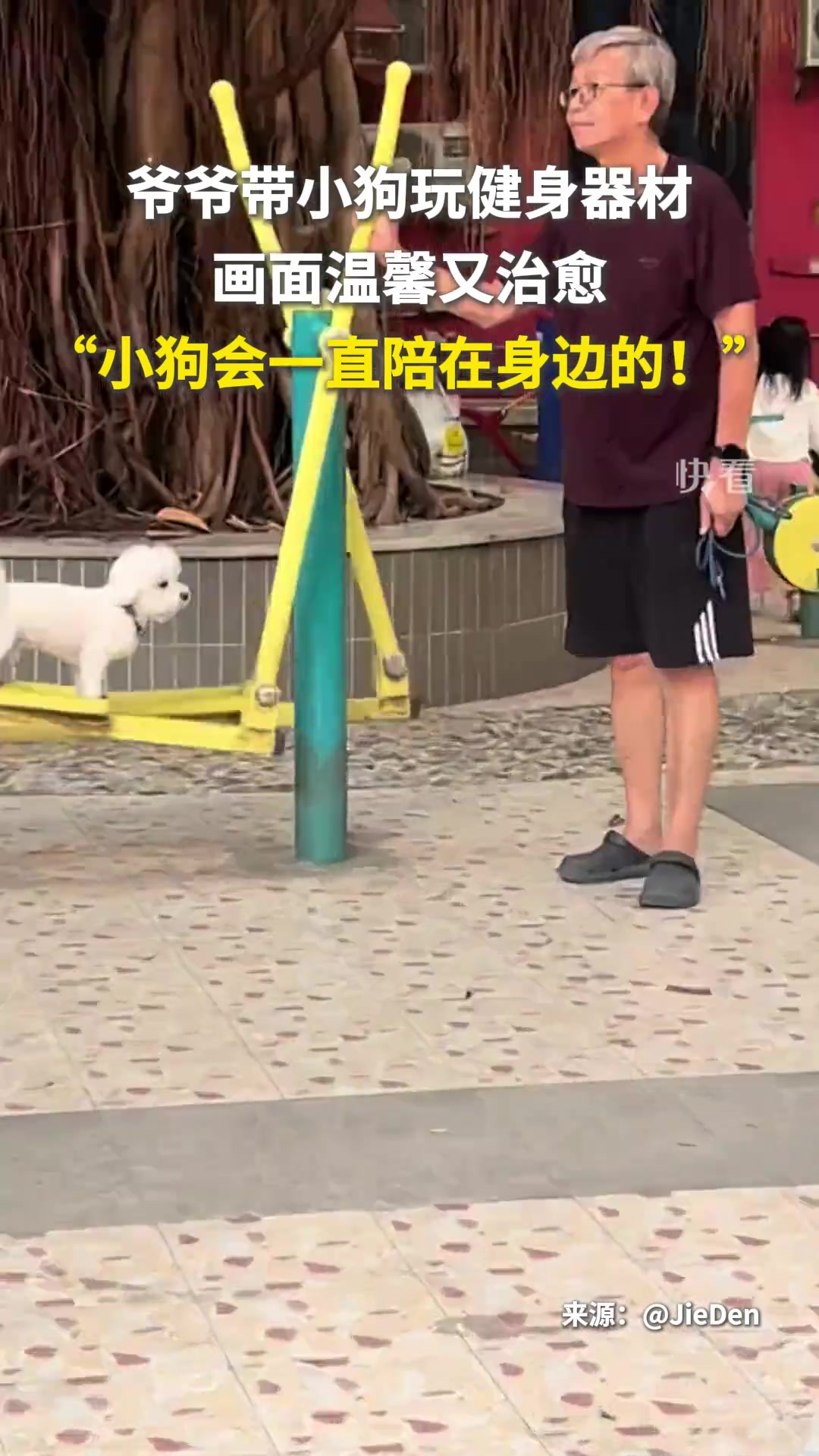爷爷带小狗玩健身器材，画面温馨又治愈