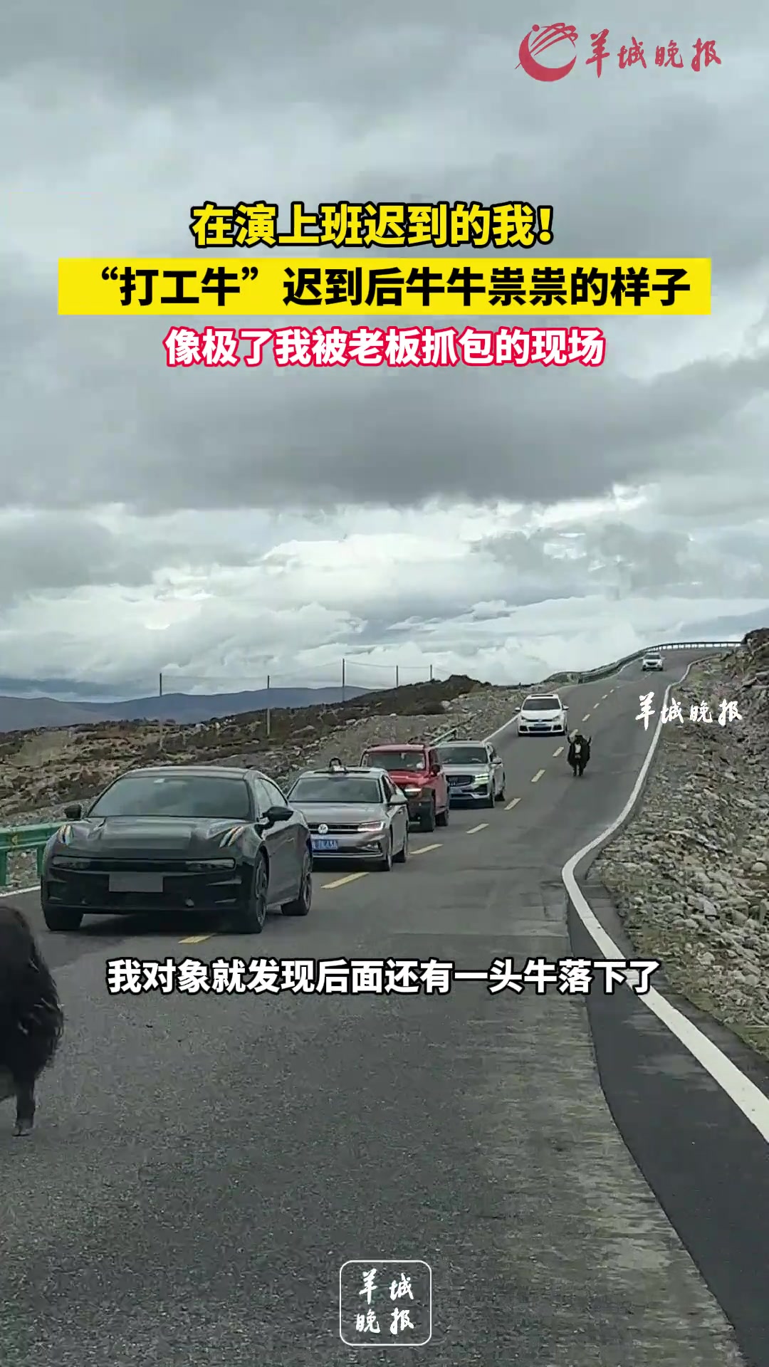 在演上班迟到的我！“打工牛”迟到后牛牛祟祟的样子