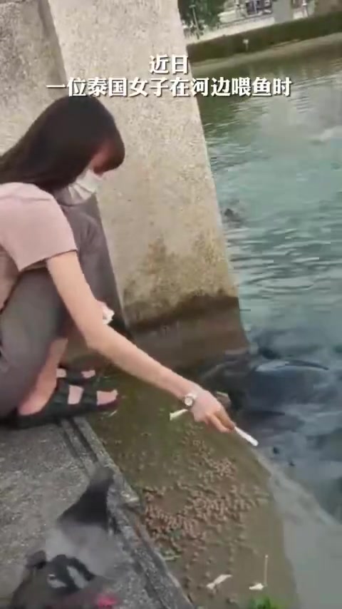 女子喂鱼来了不速之客