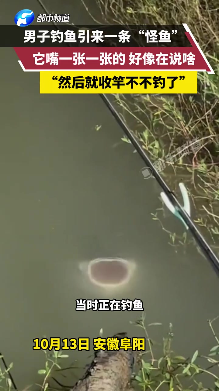 男子钓鱼引来一条“怪鱼”，它嘴一张一张的，好像在说啥