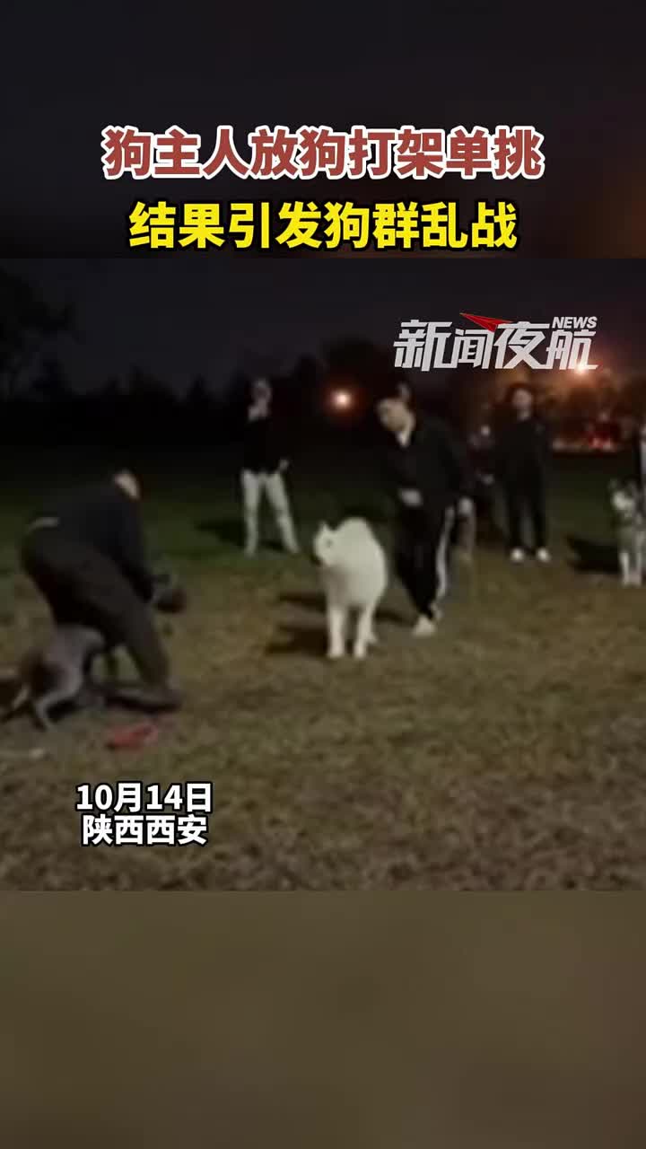 狗主人放狗打架单挑，结果引发狗群乱战！