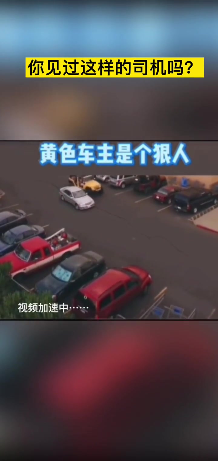 你见过这样的司机吗不过黄车车主是个狠人
