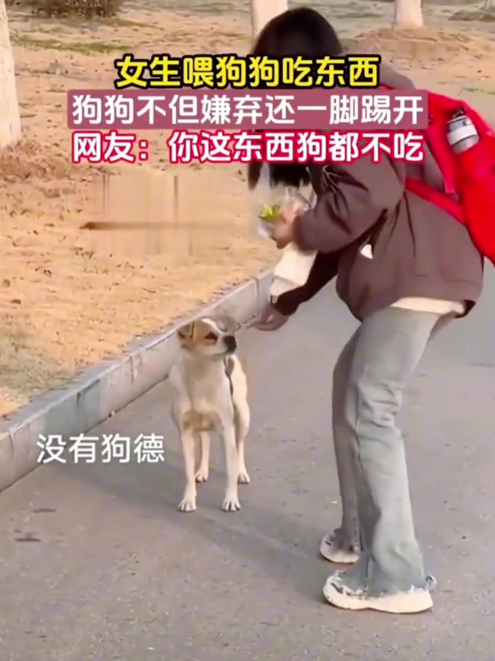 都是科技，狗都不吃