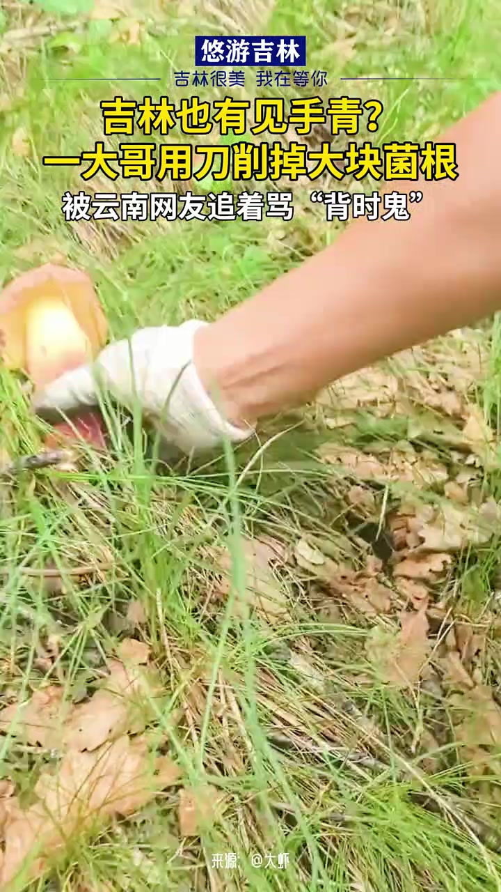 云南人看到要狠狠的给你嘴巴子了！！太浪费了！！