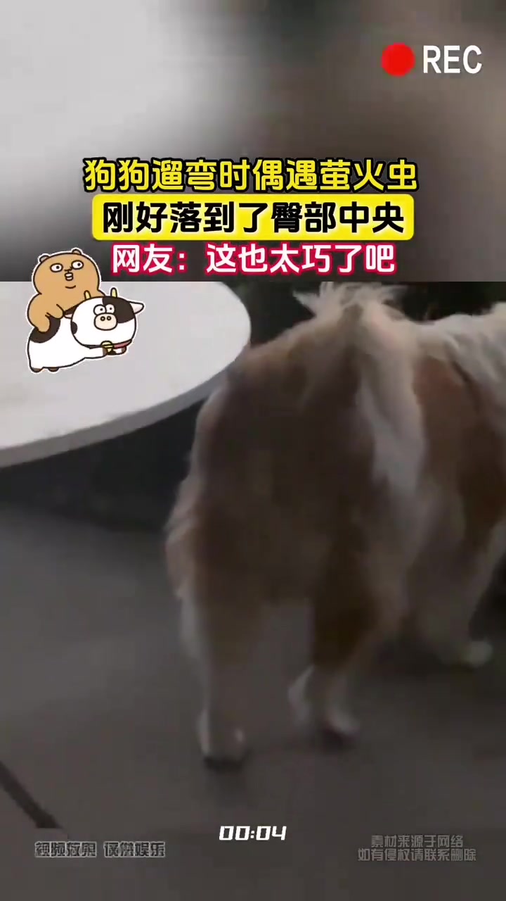 萤火虫算屎到临头了这也太巧了吧！