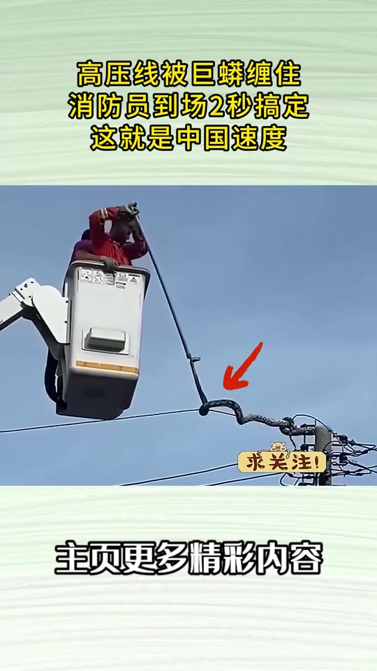 高压线被巨蟒缠住，消防员到场2秒搞定，这就是中国速度