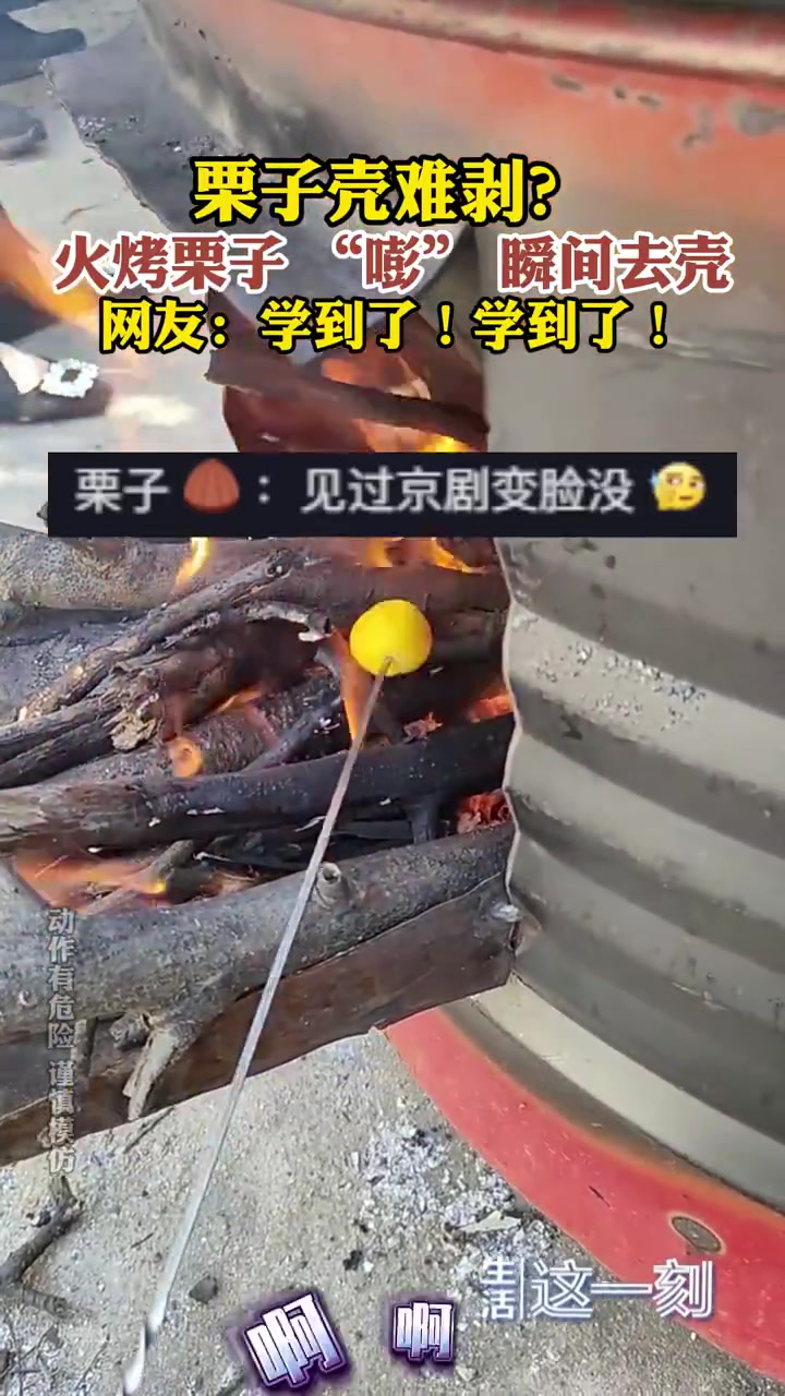 栗子壳难剥火烤栗子瞬间去壳！！