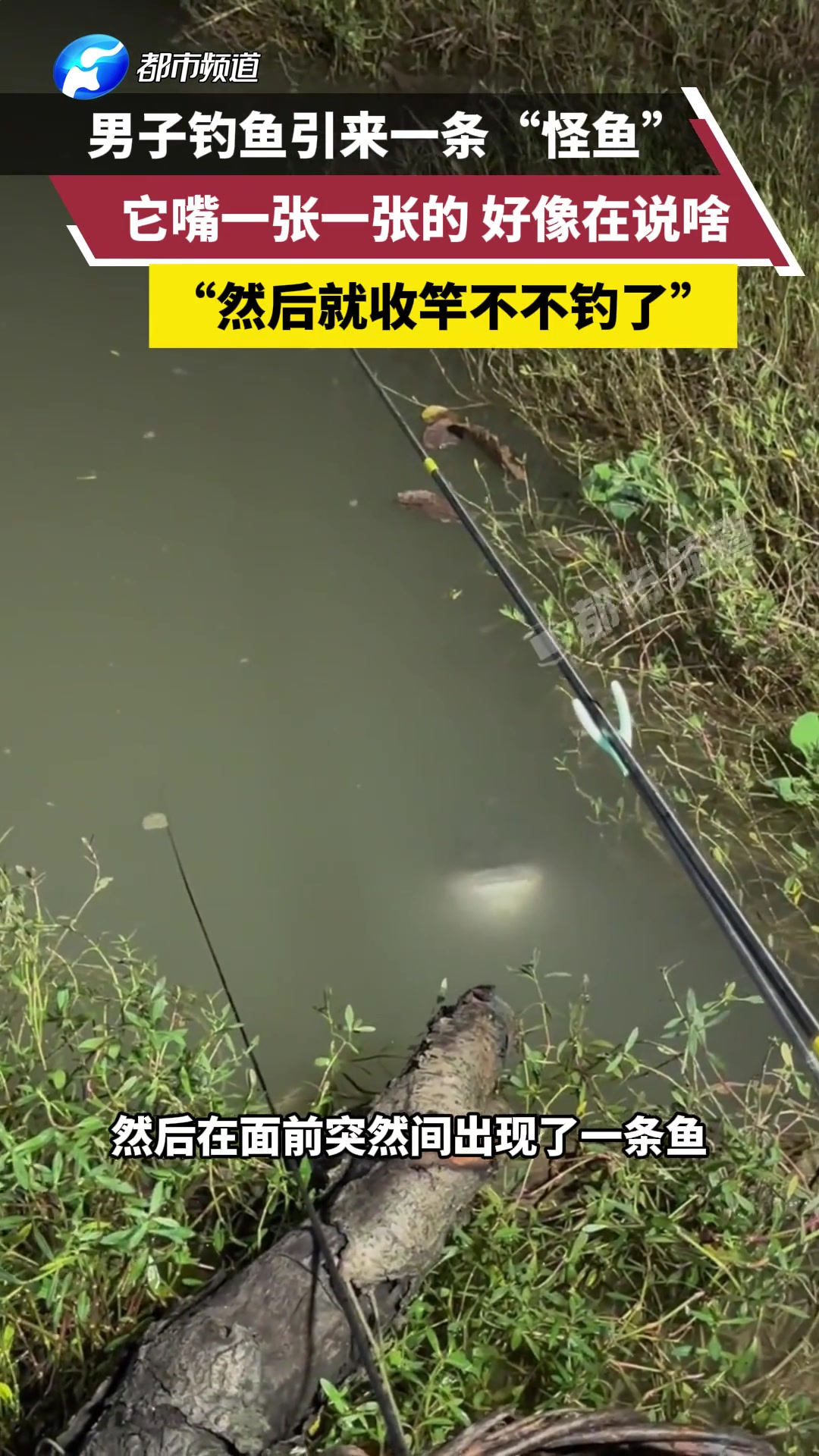 男子钓鱼引来一条“怪鱼”，它嘴一张一张的，好像在说啥