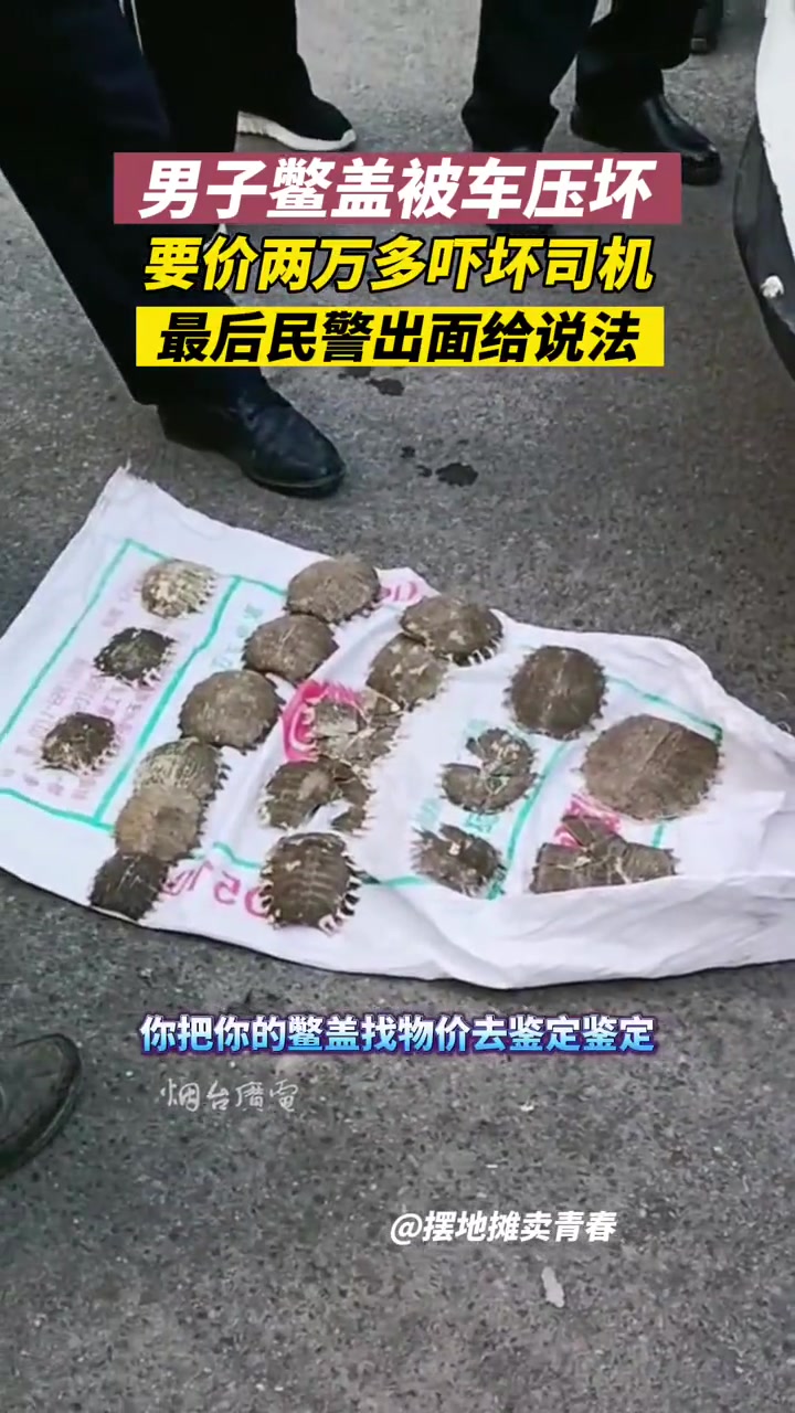 压坏鳖盖竟然索要赔偿两万多有没有懂行的吧友