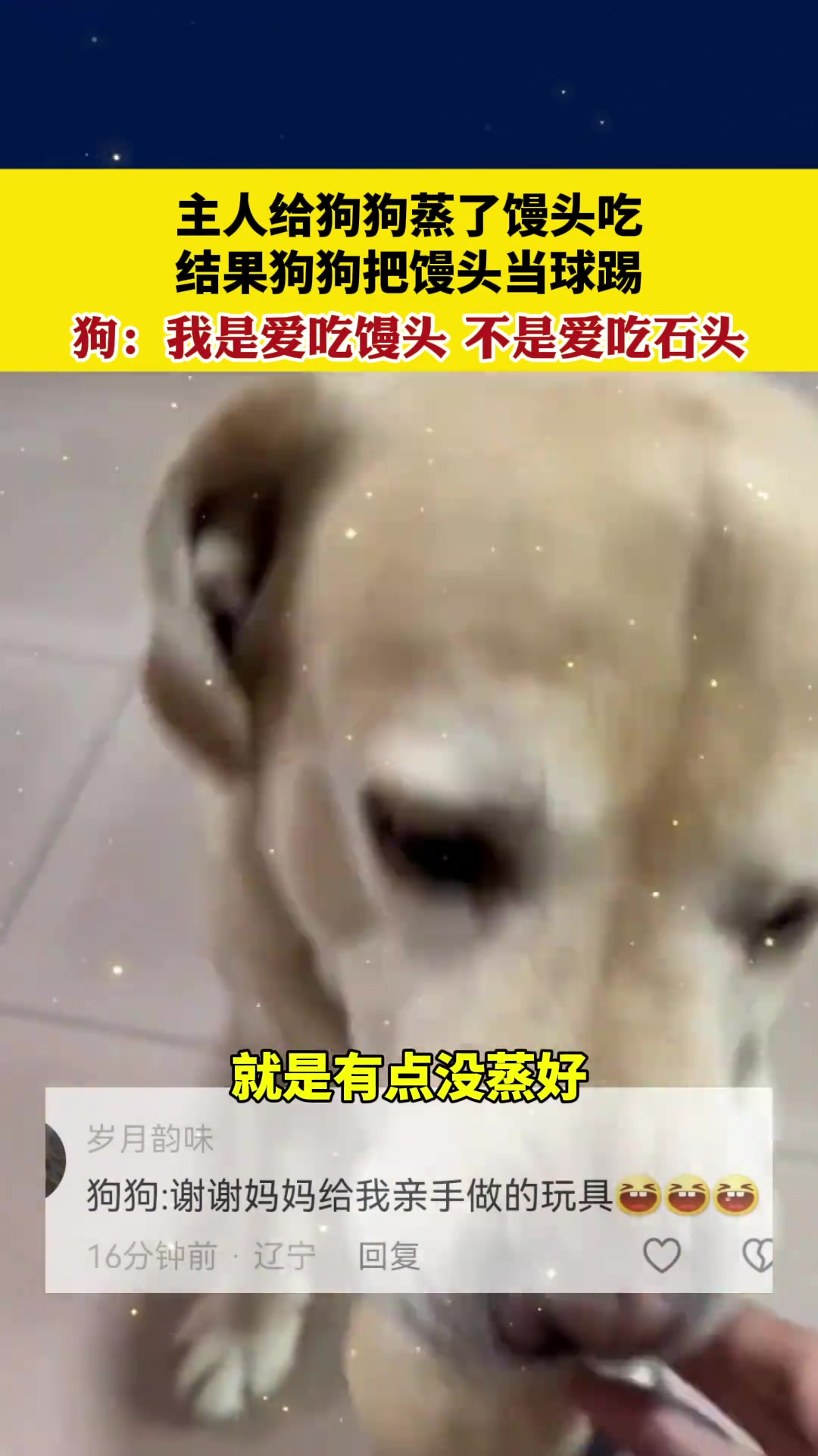 狗：我是爱吃馒头不是爱吃石头