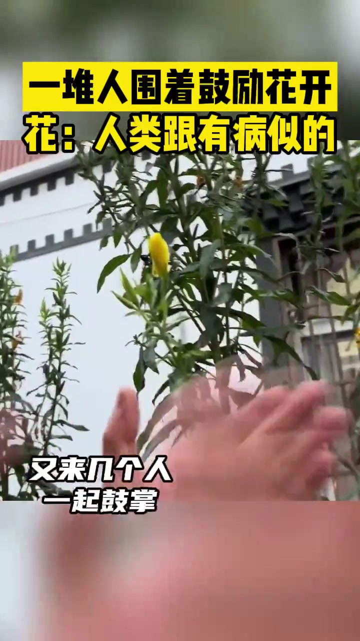 一堆人围着鼓励花开，花：人类跟有病似的