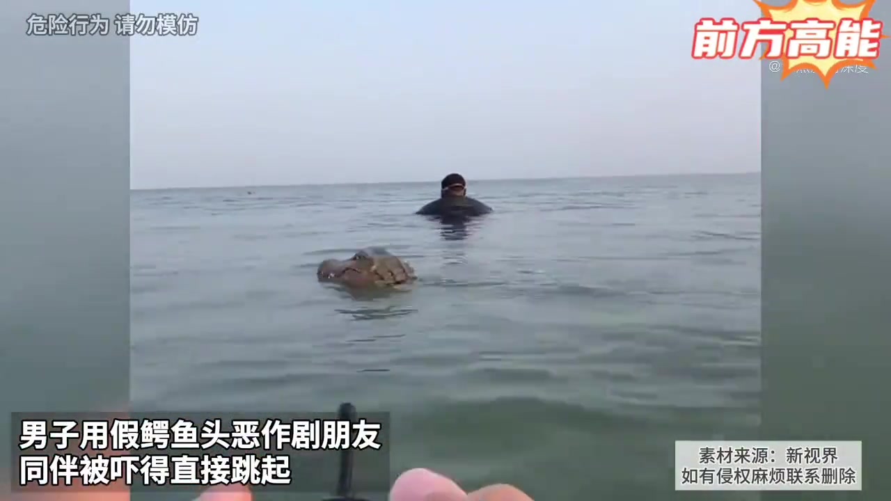 外国网友整蛊朋友最高境界，直接上鳄鱼