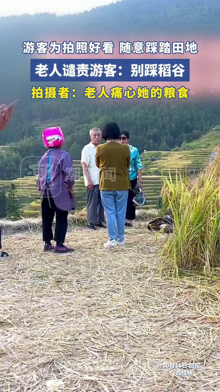 游客为拍照好看，随意踩踏稻田