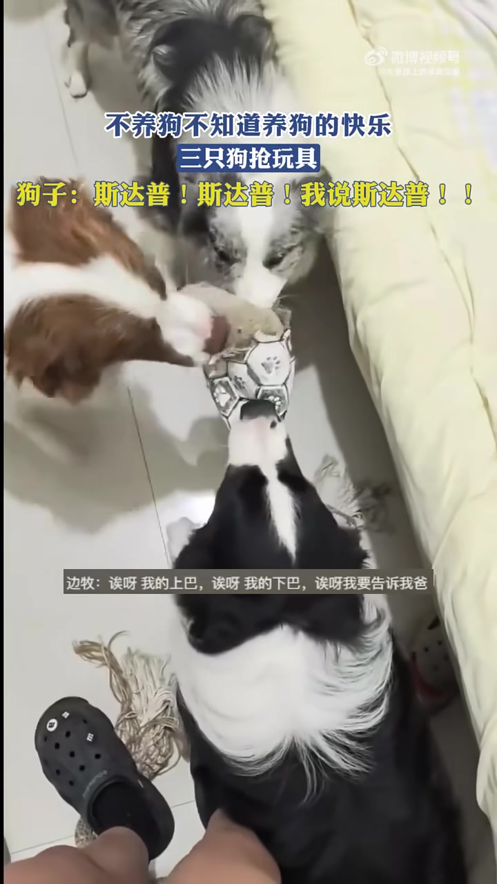 我会在这一人留，两人疚，三人游！给我整成深渊巨口了