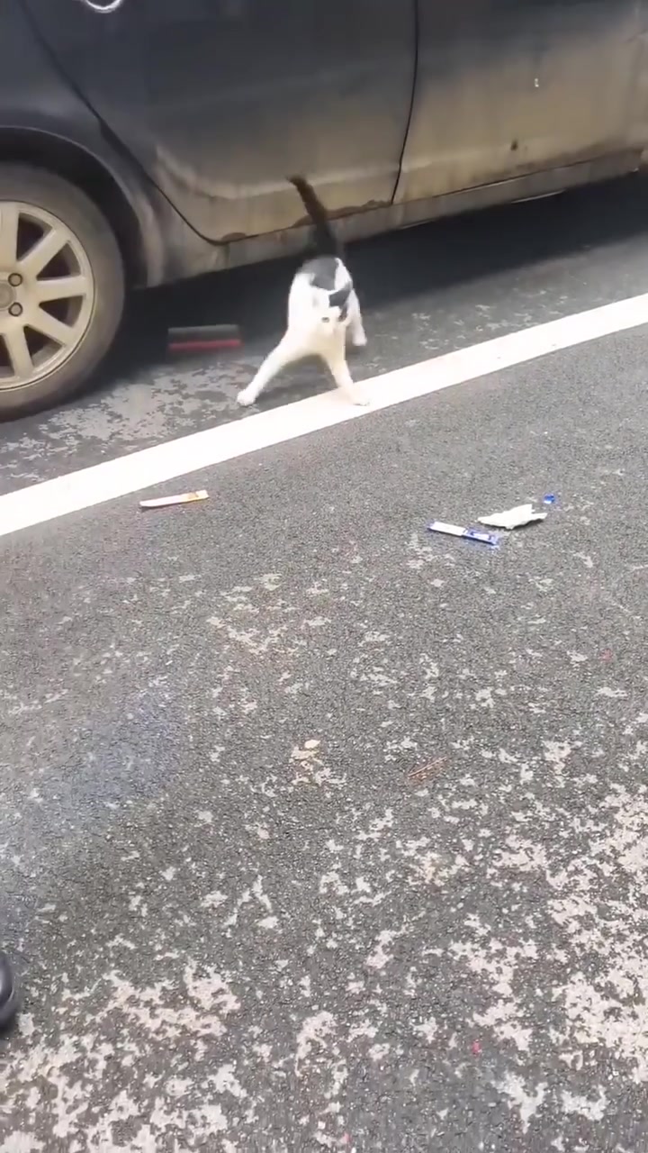 当着别人妈妈面拐孩子