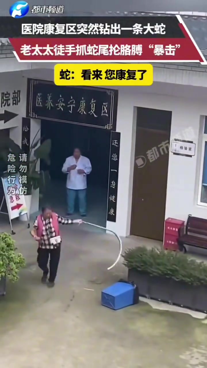 医院康复区突然钻出一条大蛇，老太太徒手抓蛇尾抡胳膊“暴击”