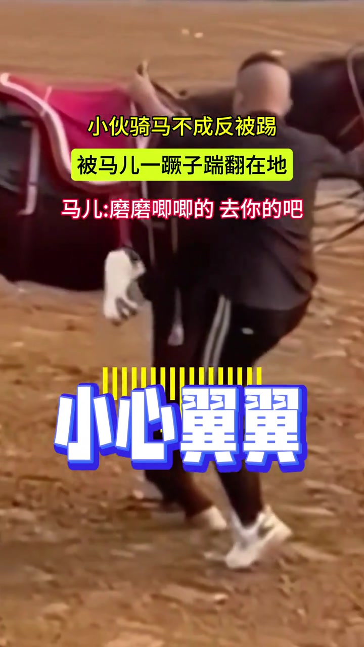 小伙骑马不成反被踢被马儿一撅子踹翻在地