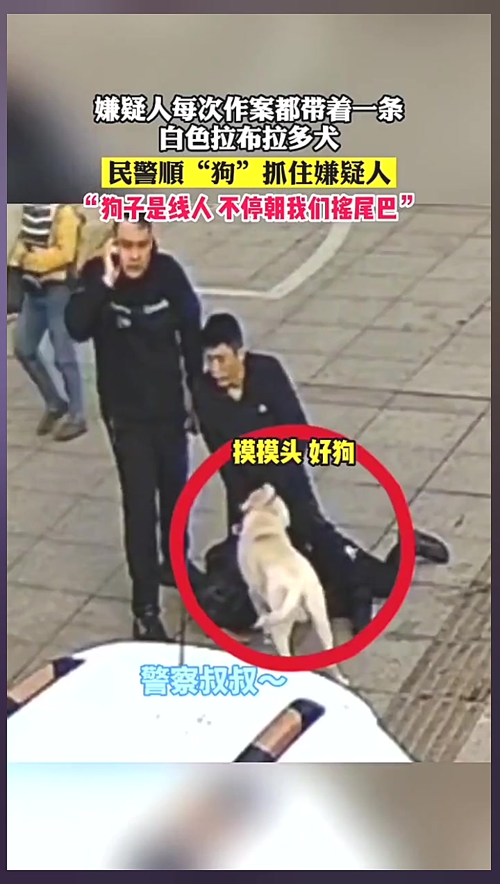 狗子：对不起，我是好人！