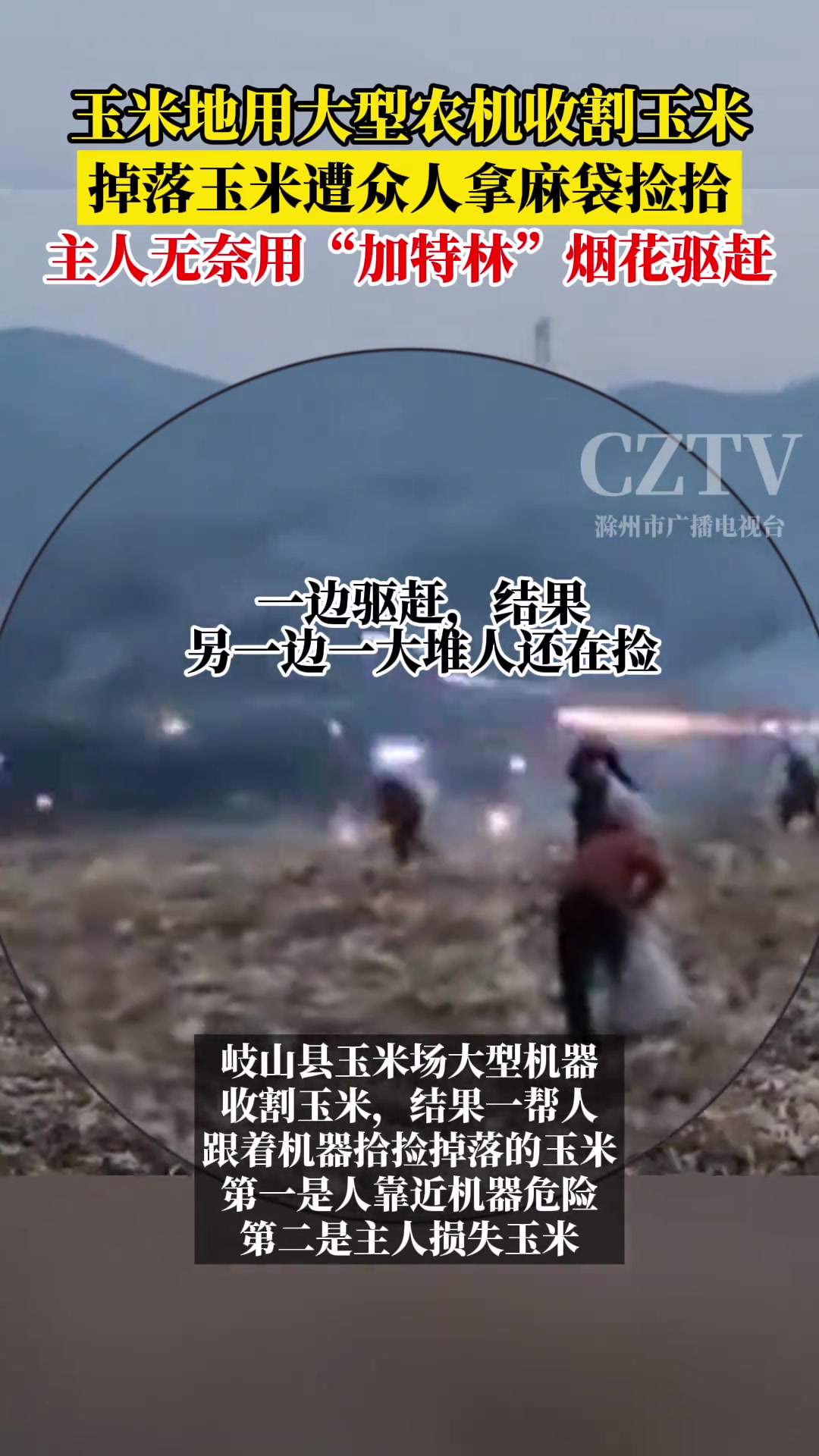 主人无奈用“加特林”烟花驱赶