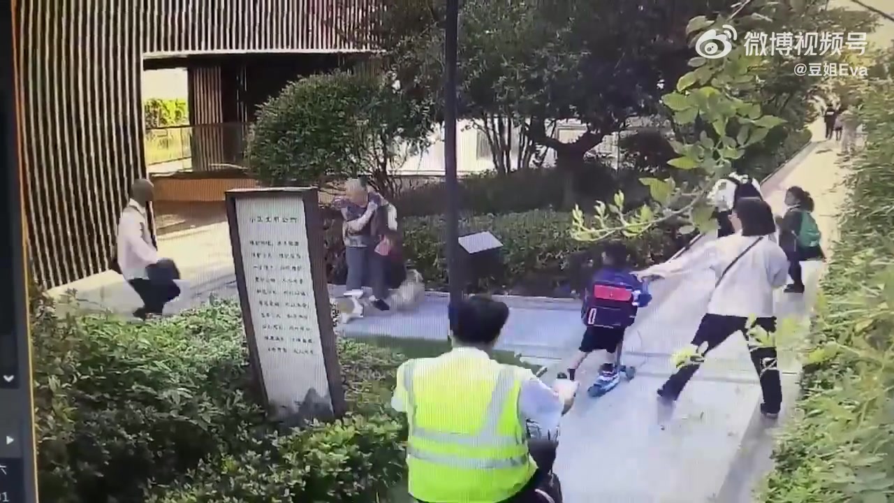遛狗不牵绳这下惹祸了！一条马尔济斯犬，要赔多少钱啊！！