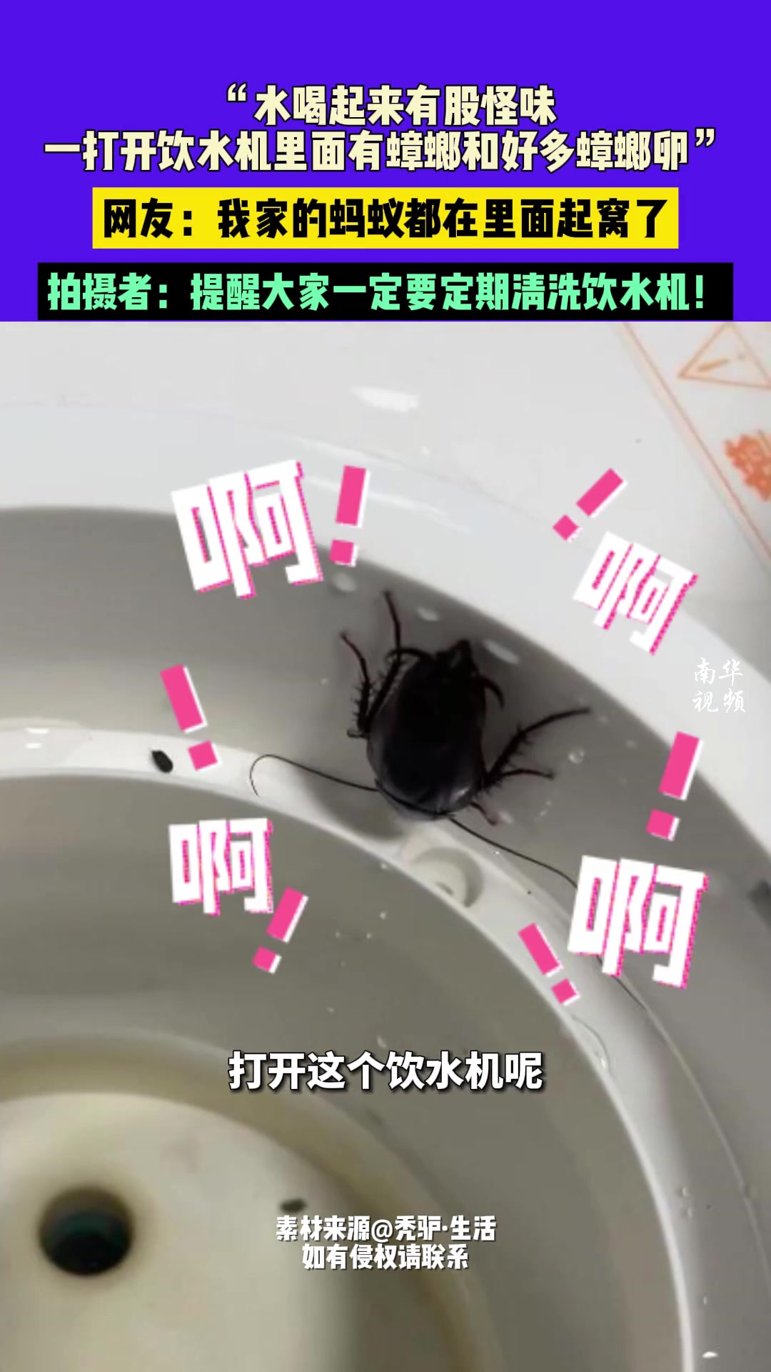 每天喝的都是蟑螂水！恭喜你开启了隐藏地图虫洞巢穴！
