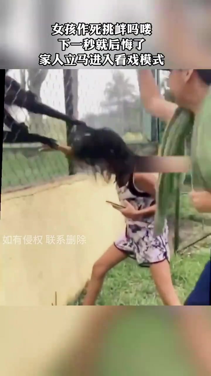 女孩作死挑衅吗喽，下一秒就后悔了！！