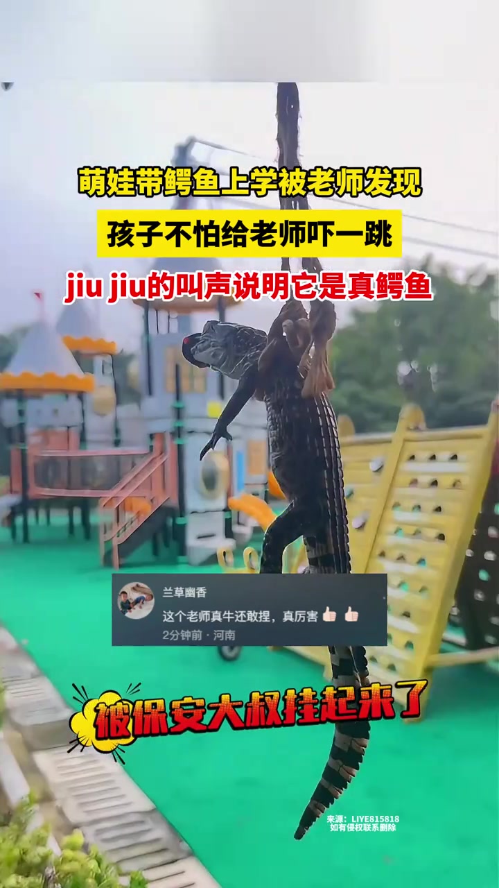 萌娃带鳄鱼上幼儿园