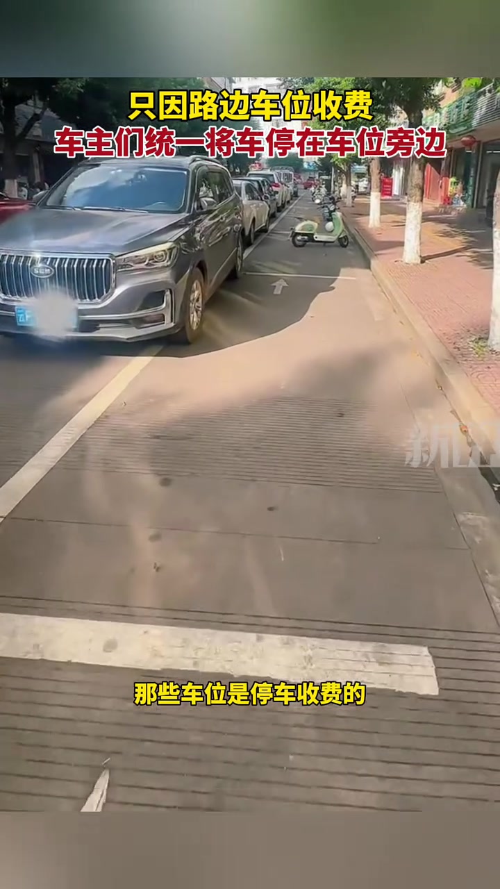 只因路边车位收费，车主们统一将车停在车位旁边！